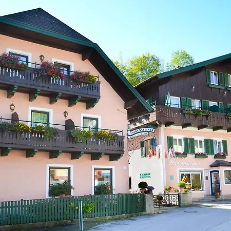 Hotel-pension Falkensteiner