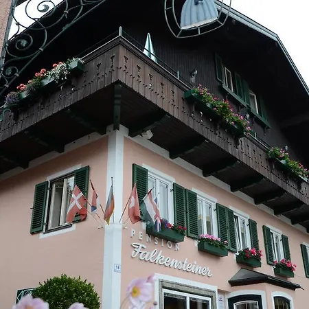Hotel-pension Falkensteiner Hotel